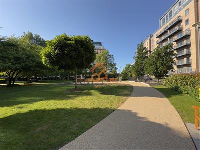 Picture 20